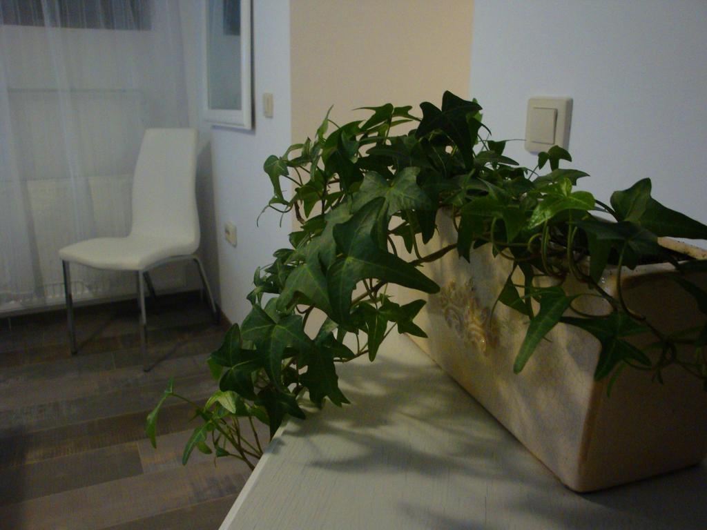 Appartamento Sonja'S Nest Sibiu Esterno foto